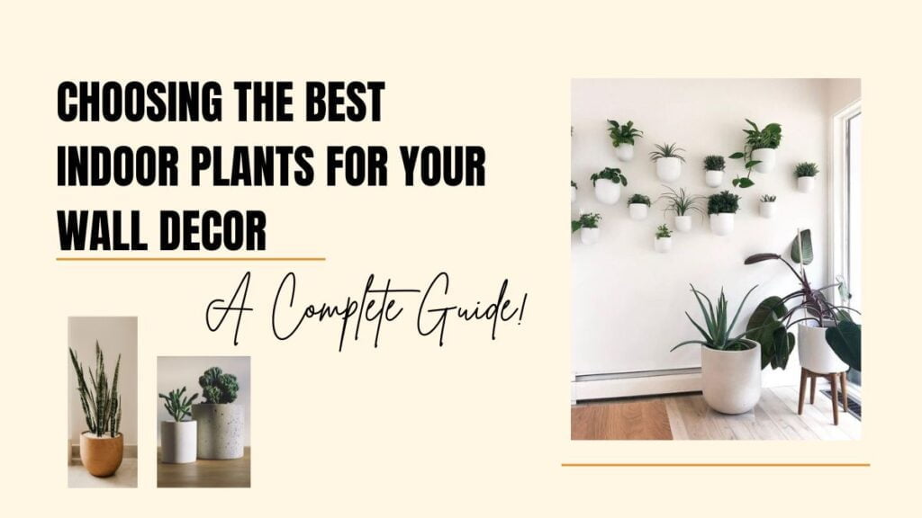 Choosing the Best Indoor Plants for Your Wall Decor – A Complete Guide!