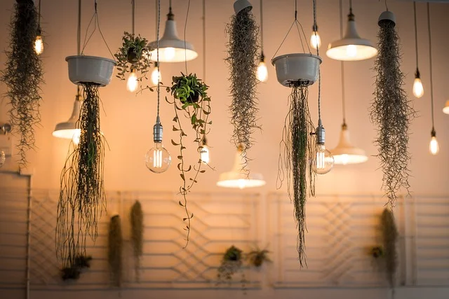 Light Accessories