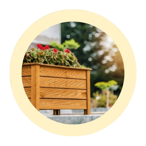 Plants and Planters