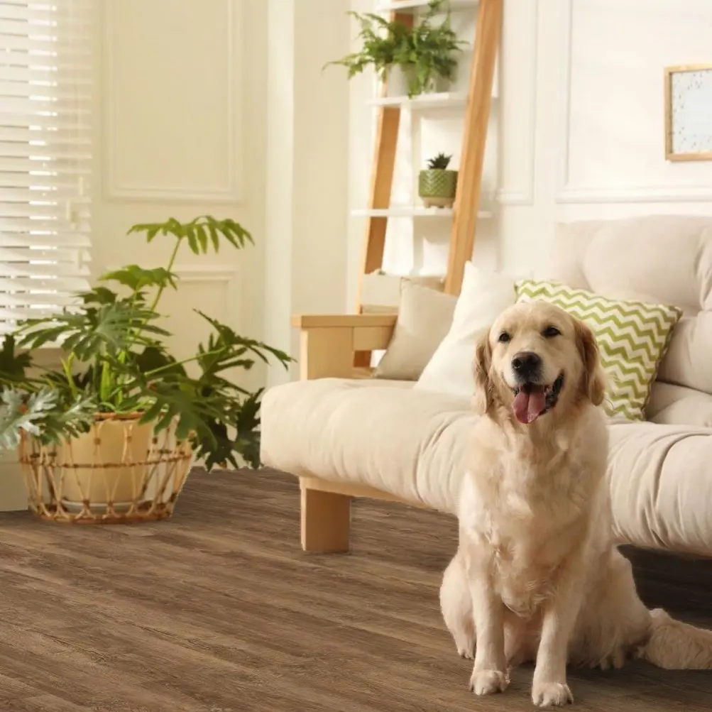Alexanian pet-friendly flooring - durable and easy to clean for pet owners