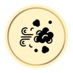 Block Wildfire Smoke: air purifiers for blocking wildfire smoke and ensuring cleaner indoor air.