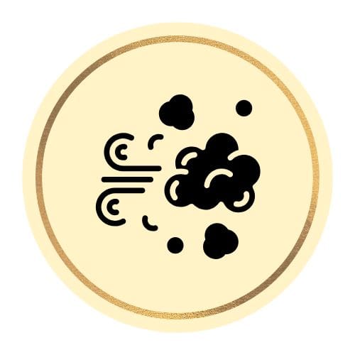 Block Wildfire Smoke: air purifiers for blocking wildfire smoke and ensuring cleaner indoor air.